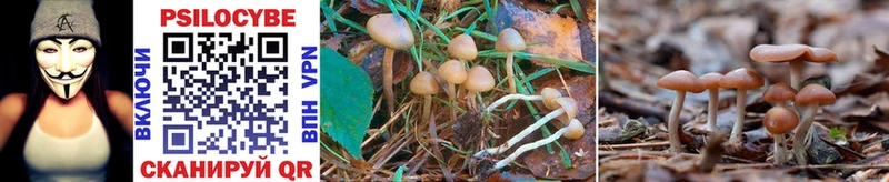 как найти закладки  Набережные Челны  Галлюциногенные грибы Psilocybine cubensis 