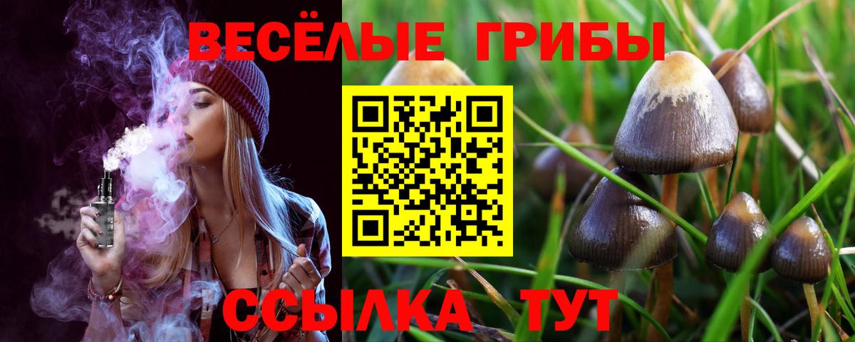 Псилоцибиновые грибы прущие грибы  Вход с VPN  Псилоцибиновые грибы MAGIC MUSHROOMS  Набережные Челны 