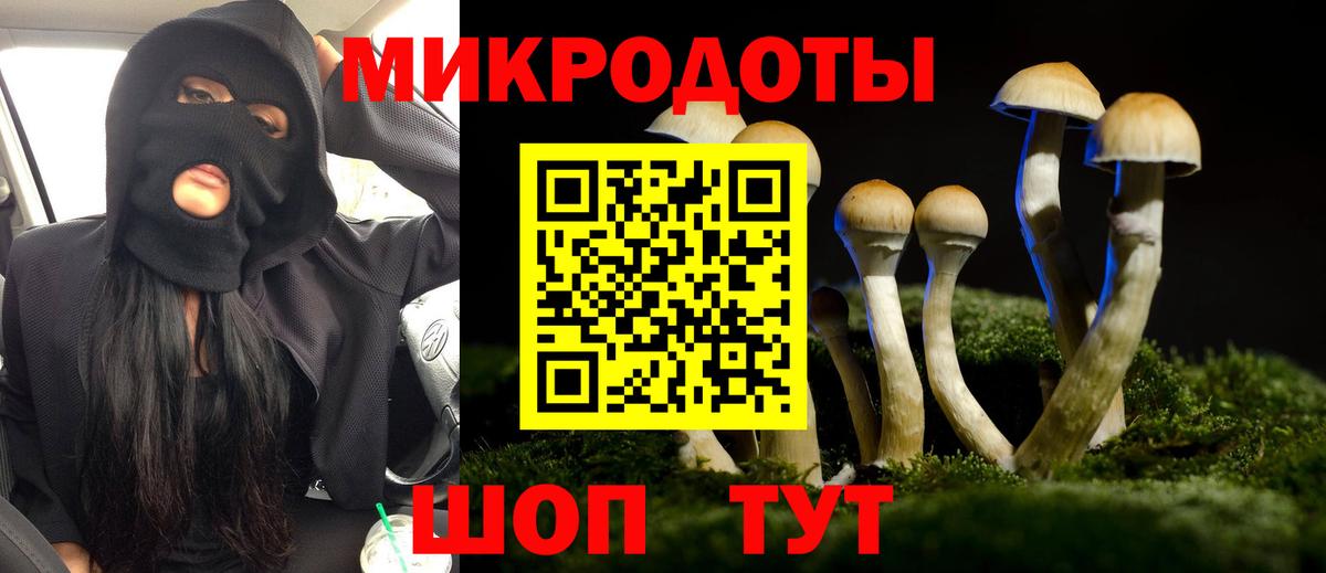 Набережные Челны  дарнет шоп  Вход с VPN  Псилоцибиновые грибы Psilocybe 